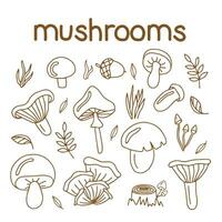 Hand-drawn illustration set of mushrooms vector