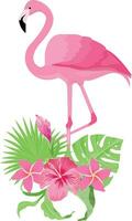 summer design with tropical leaves and flamingo bird vector