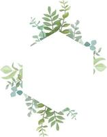 leaf frame with wild leaves and eucalyptus leaves vector