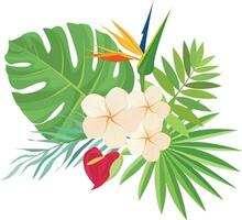 verano diseño con tropical hojas decoración vector