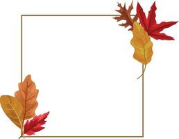 autumn frame with dry maple leaf decoration vector