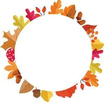 autumn frame, dry maple leaf, orange color maple leaf vector