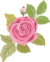 a bouquet with beautiful pink roses vector