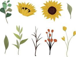 sunflower and leaf elements vector