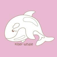 Alphabet K For Killer Whale Vocabulary School lesson Cartoon Digital Stamp Outline vector