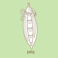 Alphabet P For Pea Vocabulary School Lesson Cartoon Digital Stamp Outline vector