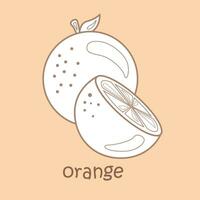 Alphabet O For Orange Vocabulary School Lesson Cartoon Digital Stamp Outline vector