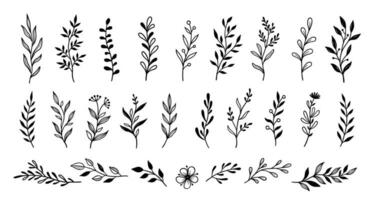 Leaf branch wreath rustic set vector