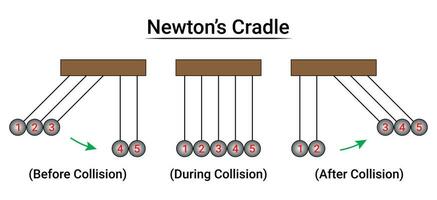 Newton's Cradle Experiment Part3 vector