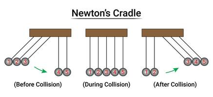 Newton's Cradle Experiment Part3 vector