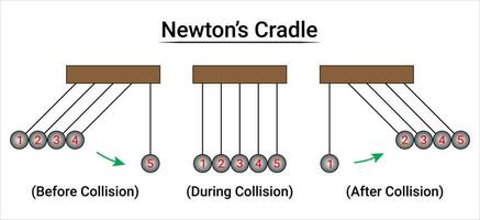 Newton's Cradle Experiment Part4 vector