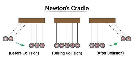 Newton's Cradle Experiment Part2 vector