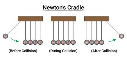 Newton's Cradle Experiment Part1 vector