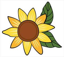 Sunflower on a white isolated background. Cartoon style. vector
