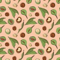 Seamless pattern with macadamia nuts. Design for fabric, textile, wallpaper, packaging. vector