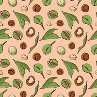 Seamless pattern with macadamia nuts. Design for fabric, textile, wallpaper, packaging. vector