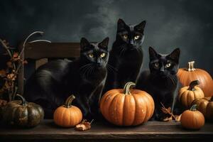 Halloween pumpkins and black cats art. Thanksgiving celebration photo