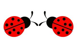Cartoon funny ladybug isolated on white background vector