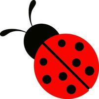 Cartoon funny ladybug isolated on white background vector