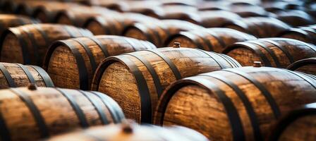 Wooden oak Port barrels in neat rows photo