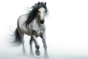 White Andalusian horse with long mane run gallop on white background. Generative AI photo