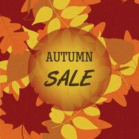 Banner for autumn sale with colorful seasonal autumn leaves. Flat vector illustration