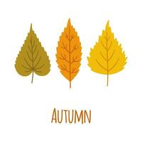 Fall foliage in yellow, orange, green colors. vector