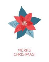 Poinsettia flower and leaves on white background. Christmas greeting card. vector