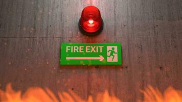 Emergency exit sign with siren light, Direction to the emergency exit, Seamless Loop video