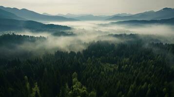 Misty foggy mountain landscape with forest. Generative AI photo