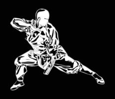 kungfu movimiento imágenes, adecuado para educativo libros, carteles, logos y más vector