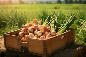 A wooden box full of onions on a green field. photo