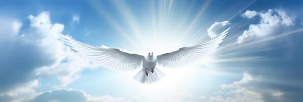 White dove with wings wide open in the blue sky air with clouds and sunbeams. Generative AI photo