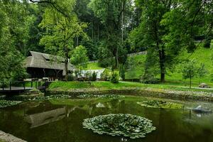 View of the pond with lotus flowers in Bran castle park, Romania. photo