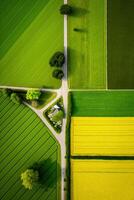 Generative AI, Farm landscape, agricultural fields, beautiful countryside, country road. Nature Illustration, photorealistic top view drone, vertical format photo