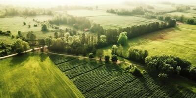 generativo ai, granja paisaje, agrícola campos, hermosa campo, país la carretera. naturaleza ilustración, fotorrealista parte superior ver zumbido, horizontal bandera. foto