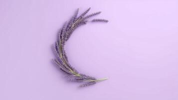 Generative AI, wreath of lavender branches flowers with copy space, natural organic floral frame violet background photo