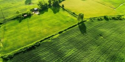 Generative AI, Farm landscape, agricultural fields, beautiful countryside, country road. Nature Illustration, photorealistic top view drone, horizontal banner. photo