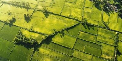 generativo ai, granja paisaje, agrícola campos, hermosa campo, país la carretera. naturaleza ilustración, fotorrealista parte superior ver zumbido, horizontal bandera. foto