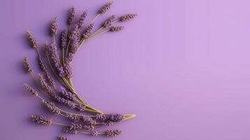 , wreath of lavender branches flowers with copy space, natural organic floral frame violet background photo