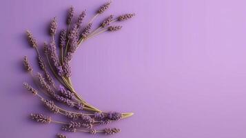 Generative AI, wreath of lavender branches flowers with copy space, natural organic floral frame violet background photo