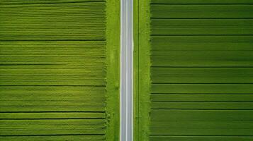 Generative AI, Farm landscape, agricultural fields, beautiful countryside, country road. Nature Illustration, photorealistic top view drone, horizontal banner. photo