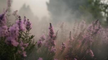 Generative AI, Close up growing lavender field with perfume smoke, flowering lavandula, pink purple flowers and grass. photo