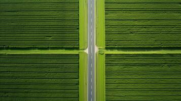 Generative AI, Farm landscape, agricultural fields, beautiful countryside, country road. Nature Illustration, photorealistic top view drone, horizontal banner. photo