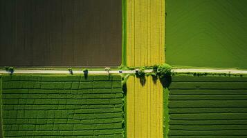 Generative AI, Farm landscape, agricultural fields, beautiful countryside, country road. Nature Illustration, photorealistic top view drone, horizontal banner. photo