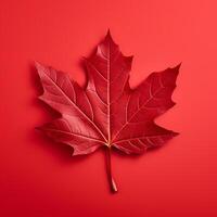 maple leaf on a red background . AI Generated photo