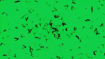 abstrait Halloween silhouette chauves-souris en volant animation effet sur vert écran Contexte video