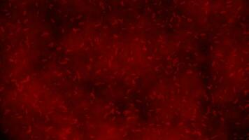 blood microscope view bacteria cell movement animation medical science experiment background hd video