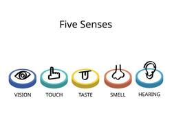 five senses for vision, hearing, touch, smell, and taste vector