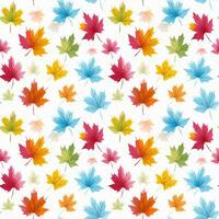 seamless Pattern Maple leaves for summer photo